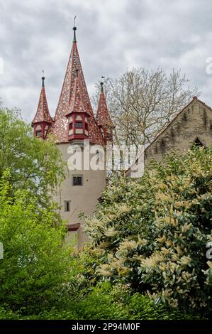 Castle nestled atop a hill surrounded by lush greenery and clear blue ...