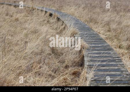 Long wooden boardwalk path through grassland in the countryside Stock Photo