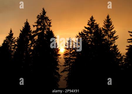 Sunset on the Rehbergalm in the Karwendel, the sun goes down wildly romantic after successful thunderstorm, Germany, Bavaria, Upper Bavaria, Werdenfelser Land, Mittenwald Stock Photo