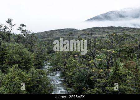 Tortel Landscape between Caleta Yungay and Tortel - traveling the Carretera ...