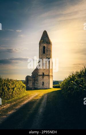Church ruin in cornfield, beautiful place on Balaton in Hungary in the evening sunset. Pusztatorony hager in Hungary Stock Photo