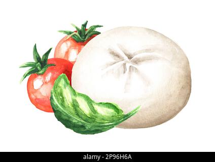 Burrata soft cheese with tomatoes and basil.  Hand drawn watercolor  illustration  isolated on white background Stock Photo