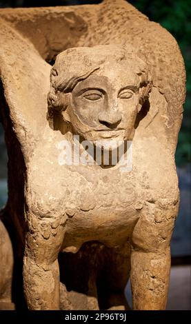 Ornately carved Roman griffin-like, winged  sculpture from Pompeii. Pompeii's Antiquarium first opened in 1873, but closed in 1980, only reopening as a museum again with a permanent display of artefacts in 2021. Pompeii, Naples, Italy Stock Photo