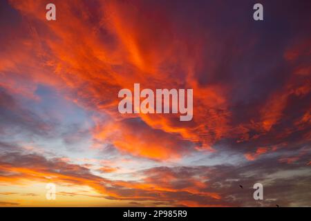 Cloudscape at sunset. Orange clouds at sunset or sunrise. Earth Day background concept photo. Stock Photo