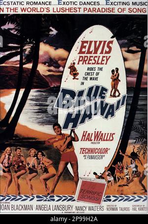 1961 : The advertising poster  for the movie BLUE HAWAII  by Norman Taurog with  ELVIS PRESLEY  - FILM - CINEMA   - poster pubblicitario - poster - advertising - locandina - SURF  ----   Archivio GBB Stock Photo