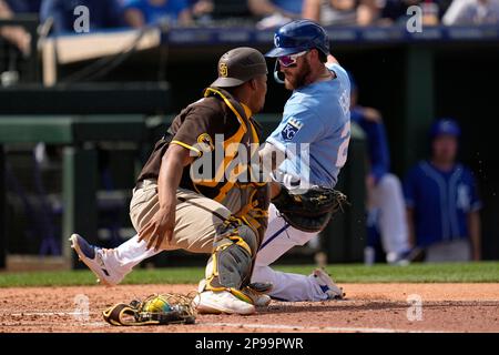 San Diego Padres catcher Pedro Severino puts on catching gear before of a spring  training baseball game against the Cincinnati Reds, Wednesday, March 8,  2023, in Peoria, Ariz. (AP Photo/Abbie Parr Stock