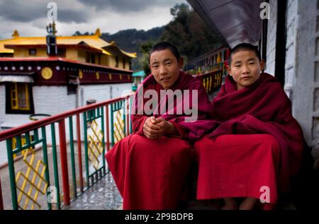 Monks, in Dip Tse Chok Ling Monastery.McLeod Ganj, Dharamsala, Himachal Pradesh state, India, Asia Stock Photo