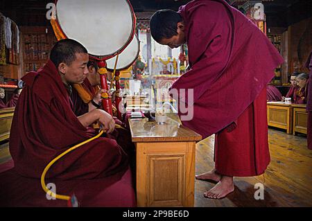 Drinking Chai,Puja,Monks Praying, In Dip Tse Chok Ling Monastery.McLeod ...