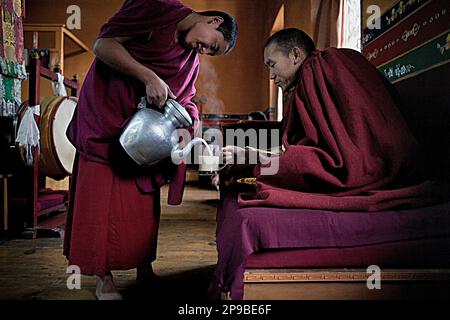 Drinking Chai,Puja,Monks Praying, In Dip Tse Chok Ling Monastery.McLeod ...