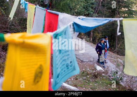 Tibetan prayer flags in Lhagyal Ri, near Tsuglagkhang complex,McLeod Ganj, Dharamsala, Himachal Pradesh state, India, Asia Stock Photo