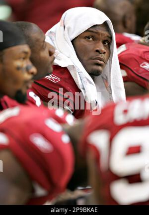 Arizona Cardinals defensive tackle Gabe Watson against the Houston Texans  during the third quarter of an NFL preseason football game on Saturday,  Aug. 14, 2010 in Glendale, Ariz. (AP Photo/Rick Scuteri Stock