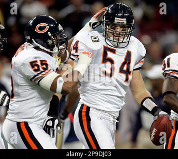 Chicago Bears: Facing a Brian Urlacher predicament – Twin Cities