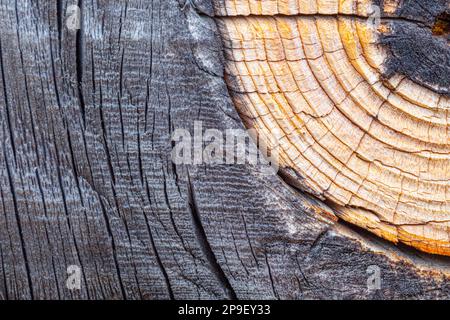 Abstract close-up of a knot and weathered wood Stock Photo