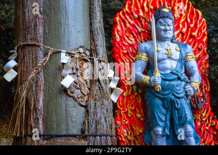 Fukuoka, Japan - Nov 21 2022: A cedar survived a struck of lightning with an engrave of Kaminari god at Nanzoin Temple Stock Photo