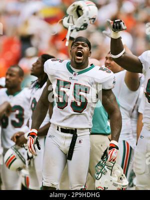 Miami Dolphins linebacker Joey Porter (55) sacks Drew Brees (9) for a loss  of 7 yards in third quarter action against the New Orleans Saints at  Landshark Stadium. The Orleans Saints beat