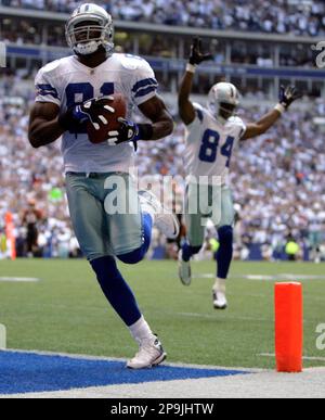 Dallas Cowboys wide receiver Patrick Crayton (84) catches a punt