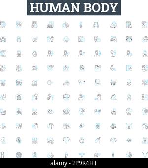 Human body vector line icons set. Anatomy, Physiology, Skeleton, Organ, Muscle, Cell, Thorax illustration outline concept symbols and signs Stock Vector