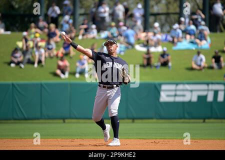 New York Yankees shortstop Oswald Peraza warms up before a baseball game  Saturday, Sept. 3 2022, in St. Petersburg, Fla. (AP Photo/Scott Audette  Stock Photo - Alamy