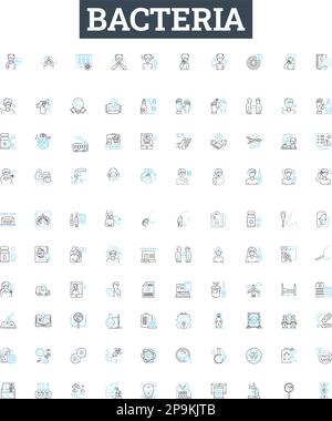 Spirochete bacteria icon. Outline spirochete bacteria vector icon color ...
