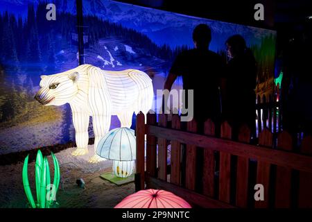 Johannesburg, South Africa. 10th Mar, 2023. People view animal-shaped lanterns displayed at the Wildlife Glow Festival in Johannesburg, South Africa, on March 10, 2023. Credit: Shiraaz Mohamed/Xinhua/Alamy Live News Stock Photo