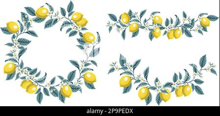 set botanical border made of branches, leaves, olives and lemons. Decorative element for summer cards or invitations, restaurant menu, food or organic Stock Vector