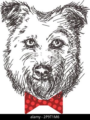 Sketch of dog portrait with bow tie, Hand drawn illustration. Stock Vector