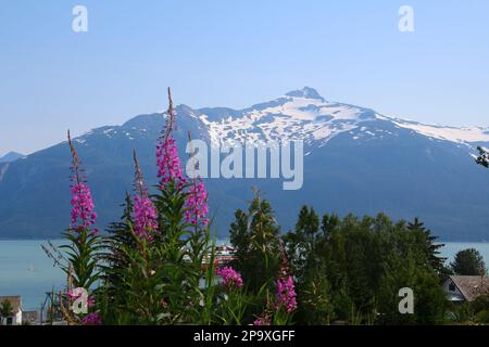 View of Port Chilkoot, Fort Seward in the small town of Haines, Alaska, USA Stock Photo