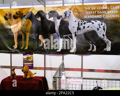 CRUFTS 2023 Birmingham UK Stock Photo