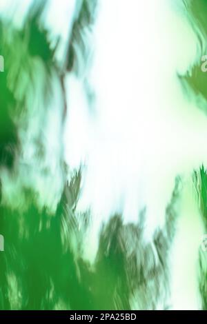 Natural bokeh  blur. Environment empty green bokeh and green leaf background. Stock Photo