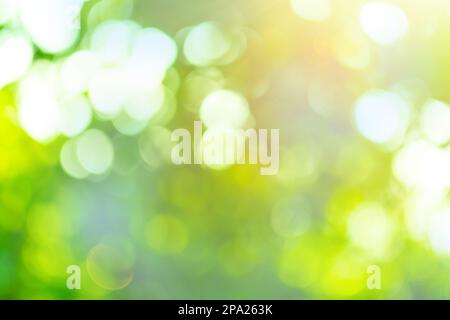 Blurred city park on background. Bokeh sun and blur green tree background. Stock Photo