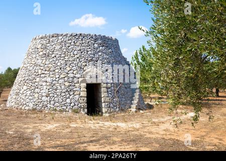 In Salento area, south of Italy, a traditional rural warehouse named Furnieddhu in local dialect. Its a traditional building made of stone in olives Stock Photo