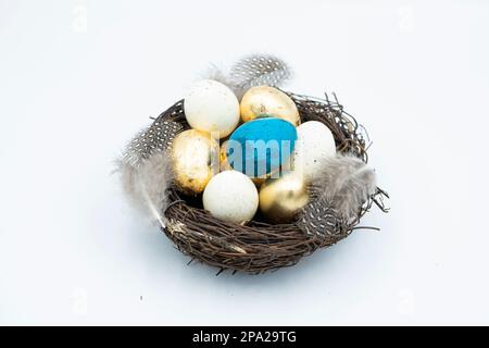 Easter golden and black eggs, feather. Stock Photo