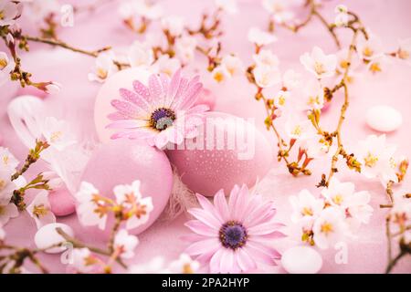 Pink Easter eggs with blooming branch, flowers and sweets for Easter and spring Stock Photo