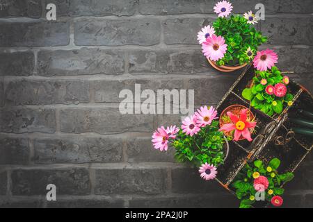Tool box withpotted spring flowers, gardening tools on black stone background - gardening and spring concept, planting flowers Stock Photo