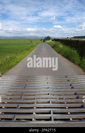Cattle grid on narrow country road, Cumbria, England, United Kingdom Stock Photo