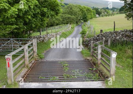 Cattle grid on narrow country road, Cumbria, England, United Kingdom Stock Photo