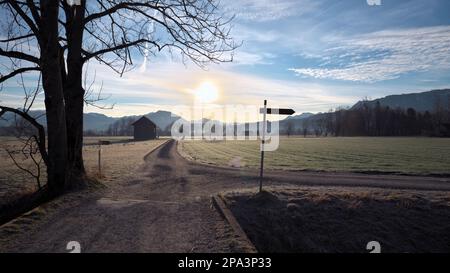Signpost on country road next to tree with wooden hut and mountains in background in winter morning at sunrise Stock Photo