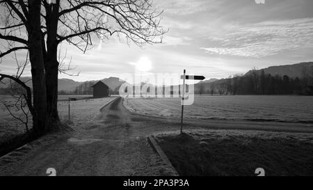 Signpost on country road next to tree with wooden hut and mountains in background in black and white Stock Photo