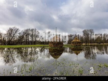 Lehde, Germany. 11th Mar, 2023. On a flooded meadow there are haystacks reflected in the water. In recent days, the region has had cloudy weather, rain and snow. Credit: Frank Hammerschmidt/dpa/ZB/dpa/Alamy Live News Stock Photo