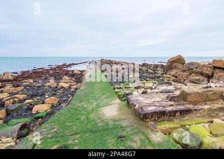 The Moss covered wet walkway into the sea at Swanage England at low tide Stock Photo