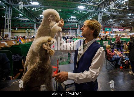 Birmingham, UK. 11th Mar, 2023. Preparations for the Show. Day 3 of Crufts International Dog Show. It is the biggest dog show in the world, starting in 1891. Crufts Dog Show Credit: Mark Thomas/Alamy Live News Stock Photo