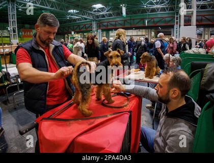 Birmingham, UK. 11th Mar, 2023. Preparations for the Show. Day 3 of Crufts International Dog Show. It is the biggest dog show in the world, starting in 1891. Crufts Dog Show Credit: Mark Thomas/Alamy Live News Stock Photo