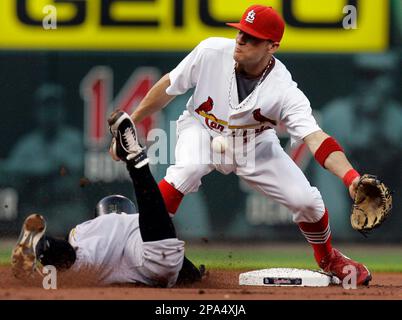 March 27, 2023; Sarasota FL USA; St. Louis Cardinals second baseman Tommy  Edman (19) throws to first base during an MLB spring training game against  t Stock Photo - Alamy