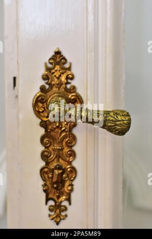 White door with old, ornate brass handle close up, vertical Stock Photo