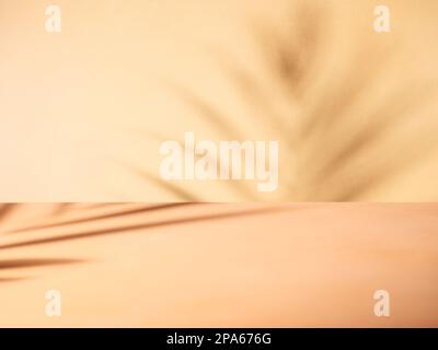 Minimalistic abstract gentle light orange background for product presentation with lights and shadows from a decorative flower Stock Photo
