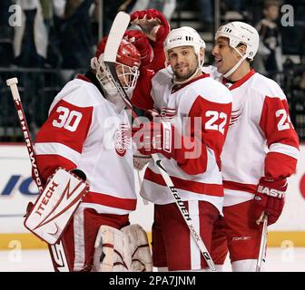 BRETT LEBDA Game Used Detroit Red Wings Red Hockey Jersey