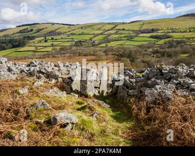 Gate in the walls of Carn or Garn Goch or Red Hill a walled Iron Age hill fort on the northern slopes of the Brecon Beacons South Wales UK Stock Photo