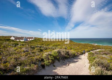 Female walker on a sandy path down to the Indian Ocean coast of the De Hoop Nature Reserve near Arniston in Western Cape South Africa Stock Photo