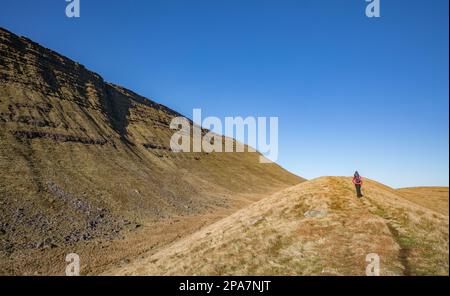 Walker ascending the path to Llyn y Fan Fawr beneath the Old Red Sandstone cliffs of Fan Hir in the Brecon Beacons National Park of South Wales UK Stock Photo