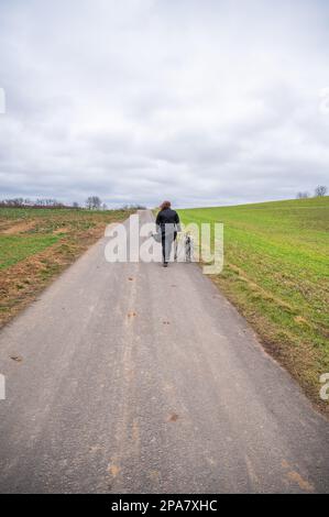 Woman with brown curly hair and black jacket walking her akita inu dog with gray fur on an agricultural path during cloudy day, vertical shot, view fr Stock Photo